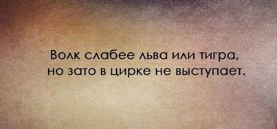 Праздники продолжаются-прикольные высказывания в картинках 